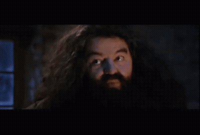 A Close Up Of A Man With A Beard And Long Hair Making A Funny Face . GIF