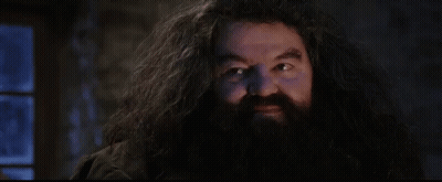 A Close Up Of A Man With A Beard And Long Hair . GIF