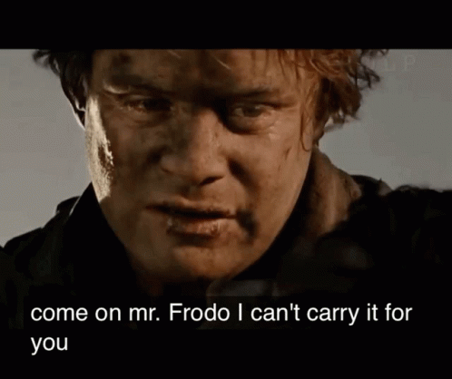 A Close Up Of A Man With The Words Come On Mr. Frodo I Can 'T Carry It For You Below Him GIF