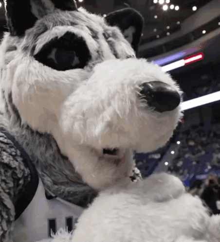 A Close Up Of A Mascot 'S Face With The Number 11 Visible GIF