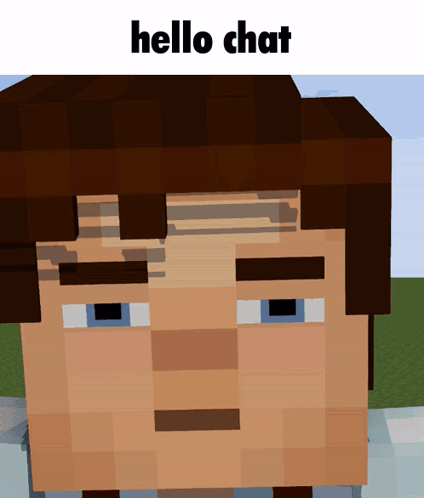 A Close Up Of A Minecraft Character With The Words Hello Chat Above It GIF