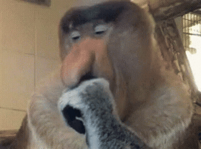 A Close Up Of A Monkey Licking A Cat 'S Paw GIF