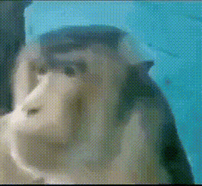 A Close Up Of A Monkey 'S Face In A Pixelated Image . GIF