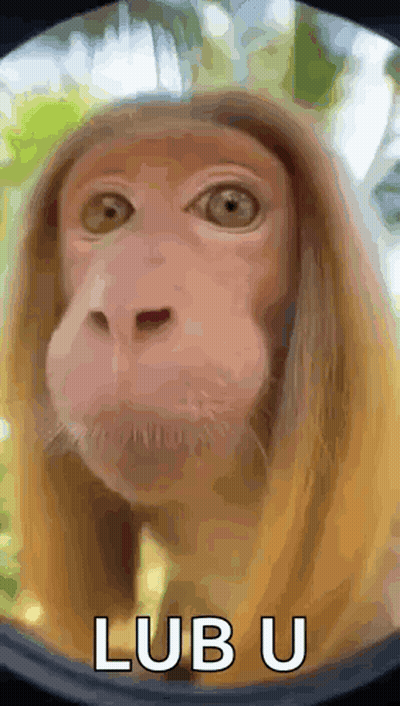 A Close Up Of A Monkey 'S Face With The Word Lub U Written Below It GIF