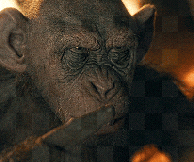 A Close Up Of A Monkey 'S Face With The Words Bad Ape Above It GIF