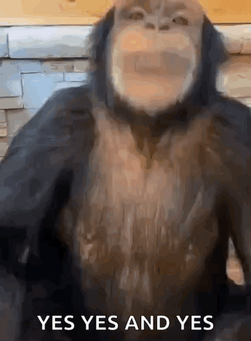 A Close Up Of A Monkey 'S Face With The Words Yes Yes And Yes Below It GIF
