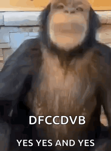A Close Up Of A Monkey 'S Face With The Words Yes Yes And Yes Written On It . GIF