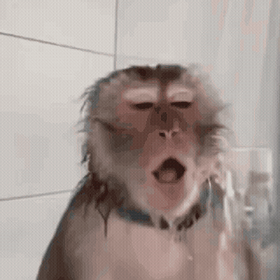 A Close Up Of A Monkey Taking A Shower With Its Mouth Open . GIF