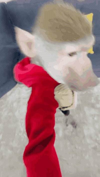 A Close Up Of A Monkey Wearing A Red Hoodie And A Beard . GIF