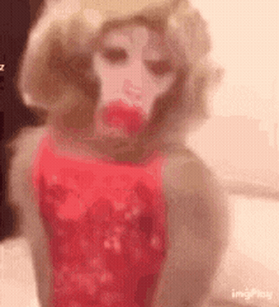 A Close Up Of A Monkey Wearing A Wig And A Pink Dress . GIF