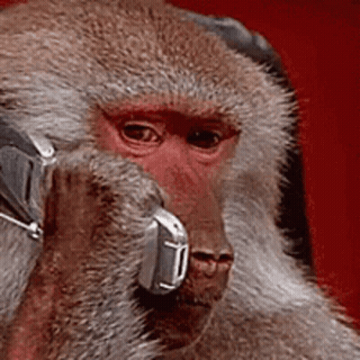 A Close Up Of A Monkey Wearing Headphones And Holding A Cell Phone GIF