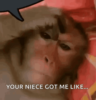 A Close Up Of A Monkey With A Speech Bubble That Says `` Your Niece Got Me Like '' . GIF
