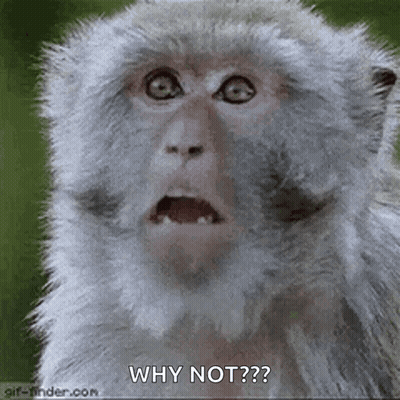 A Close Up Of A Monkey With A Surprised Look On Its Face And The Words `` Why Not '' . GIF