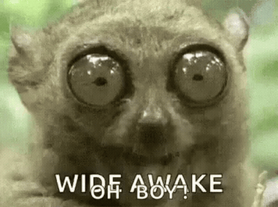A Close Up Of A Monkey With Big Eyes And The Words `` Wide Awake '' . GIF