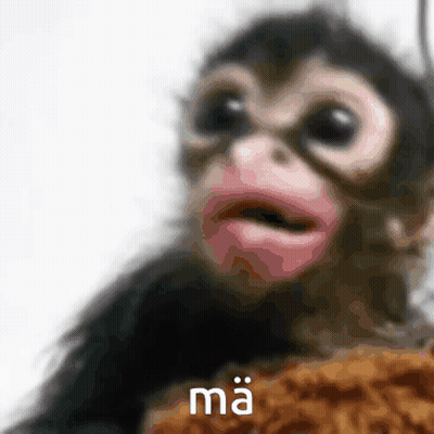 A Close Up Of A Monkey With The Word Ma On It 'S Face . GIF