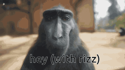 A Close Up Of A Monkey With The Words Hey ( With Rizz ) Above It GIF