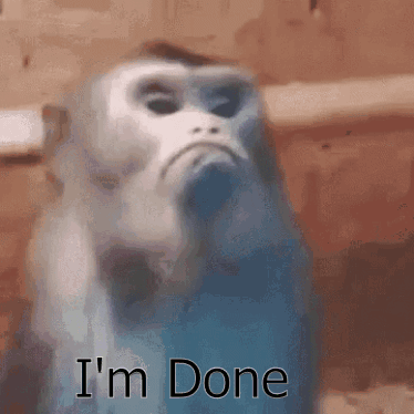 A Close Up Of A Monkey With The Words `` I 'M Done '' On It . GIF