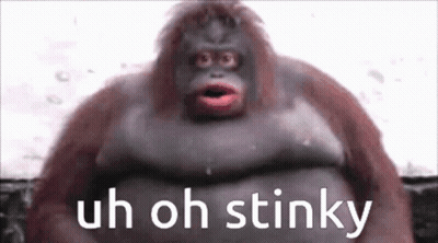 A Close Up Of A Monkey With The Words Uh Oh Stinky Above It GIF