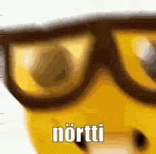 A Close Up Of A Pair Of Glasses With The Words Nortti Written On It GIF