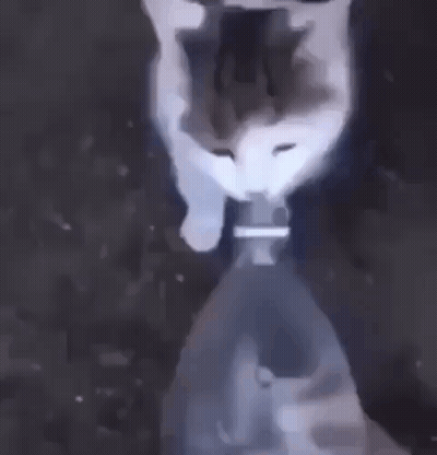 A Close Up Of A Person Holding A Bottle Of Water . GIF