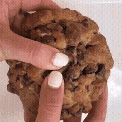 A Close Up Of A Person Holding A Chocolate Chip Cookie With Their Fingers . GIF