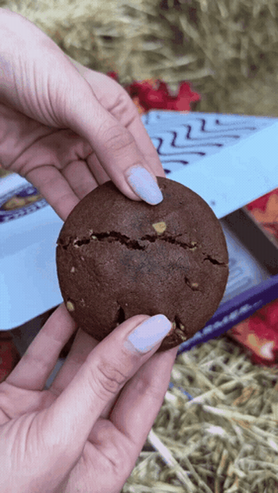A Close Up Of A Person Holding A Chocolate Cookie With A Crack In It GIF