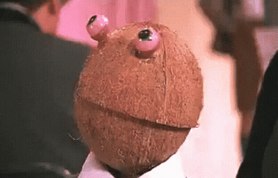 A Close Up Of A Person Holding A Coconut With Two Eyes . GIF