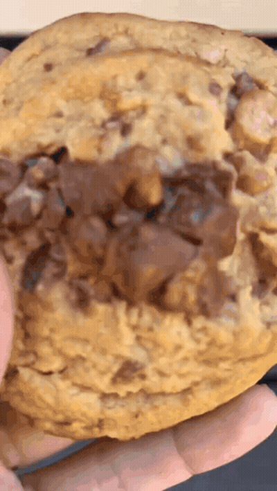 A Close Up Of A Person Holding A Cookie With Chocolate Chips On Top GIF