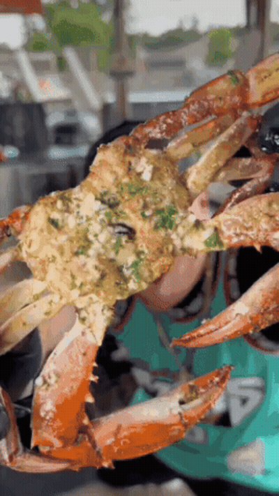 A Close Up Of A Person Holding A Crab In Their Hands GIF
