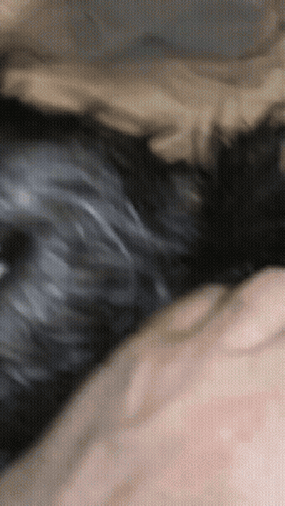 A Close Up Of A Person Holding A Dog 'S Tail GIF