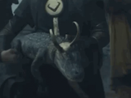 A Close Up Of A Person Holding A Snake With Horns . GIF