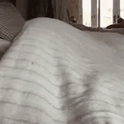 A Close Up Of A Person Laying On A Bed With A Blanket On It . GIF