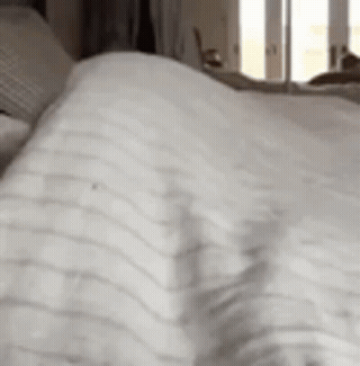A Close Up Of A Person Laying On A Bed With A Striped Blanket . GIF