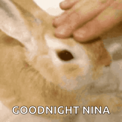 A Close Up Of A Person Petting A Rabbit With The Words Goodnight Nina Above It GIF