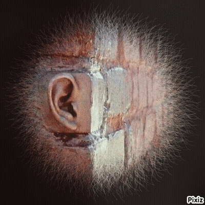 A Close Up Of A Person 'S Ear And Mouth With Pixiz Written Below It GIF