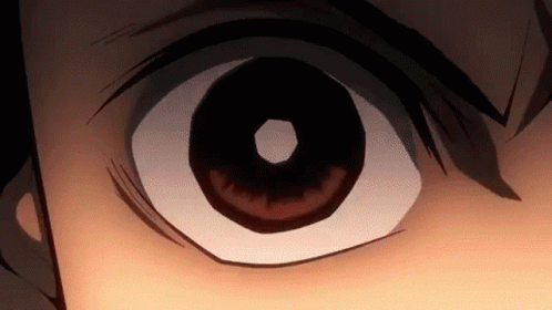 A Close Up Of A Person 'S Eye With A Circle In The Middle Of It . GIF
