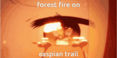 A Close Up Of A Person 'S Eye With The Words Forest Fire On Caspian Trail GIF