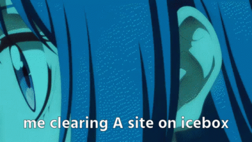 A Close Up Of A Person 'S Eye With The Words `` Me Clearing A Site On Icebox '' GIF