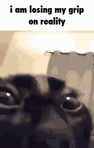 A Close Up Of A Person 'S Eyes With The Words " I Am Losing My Grip On Reality " GIF