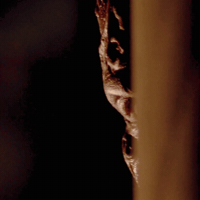 A Close Up Of A Person 'S Face Behind A Wooden Wall GIF