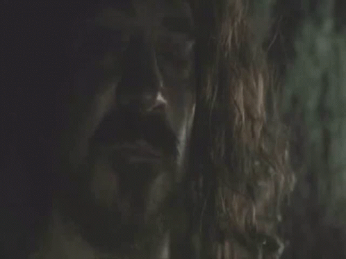 A Close Up Of A Person 'S Face In A Dark Room With A Tree In The Background . GIF