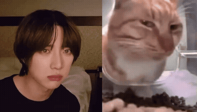 A Close Up Of A Person 'S Face Next To A Picture Of A Cat . GIF