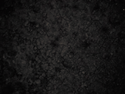 A Close Up Of A Person 'S Face With A Blurry Background GIF