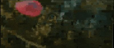 A Close Up Of A Person 'S Face With A Butterfly On It 'S Head . GIF