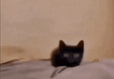 A Close Up Of A Person 'S Face With A Lot Of Smoke Coming Out Of It GIF