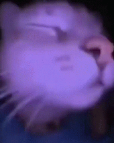 A Close Up Of A Person 'S Face With A Purple Background GIF