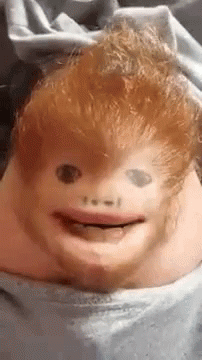 A Close Up Of A Person 'S Face With Red Hair And A Beard Making A Funny Face . GIF