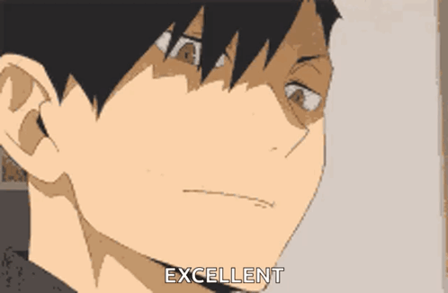 A Close Up Of A Person 'S Face With The Words Excellent Written Below It . GIF