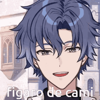 A Close Up Of A Person 'S Face With The Words Figaro De Cami Written On The Bottom GIF