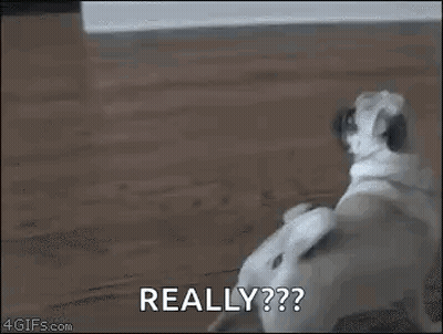 A Close Up Of A Person 'S Face With The Words `` Really '' Written In The Corner . GIF